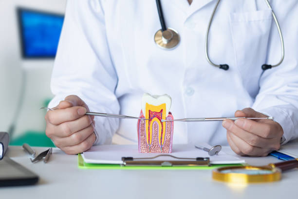 Best Broken or Chipped Tooth Repair in Glendive, MT
